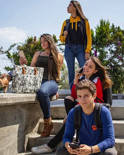 Edu & Sport programs — students, athletes and organizations